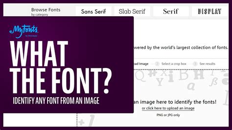 whatthefont|font identifier from picture.